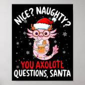 Axolotl Santa Hat Axolotl Questions Christmas Boys Poster (Vorne)