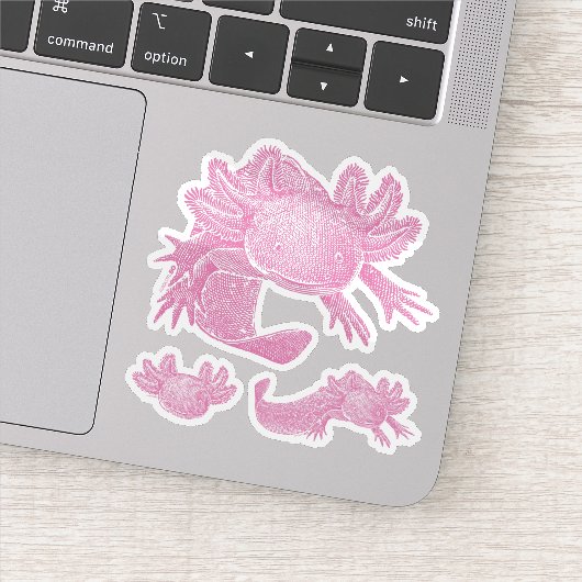 Axolotl Stickers - PINK - 3 Pack Aufkleber (Detail)