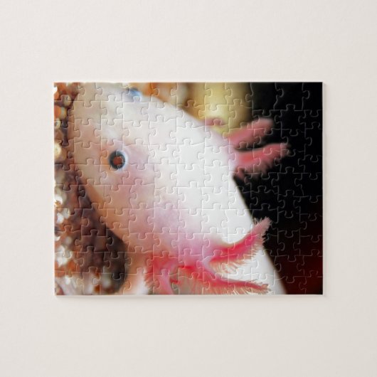 Axolotl Weißling Puzzle (Horizontal)