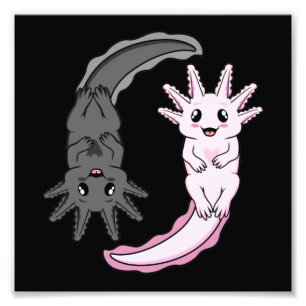 Axolotl Yin Yang Kawaii Animal Axolotls Lover Owne Fotodruck