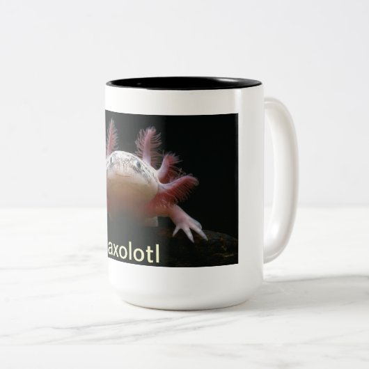 Axolotl Zweifarbige Tasse (VorderseiteRechts)