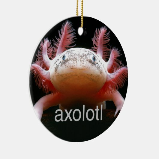 AxolotlAxolotlAxolotlAxolotl Keramik Ornament (Rechts)