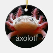 AxolotlAxolotlAxolotlAxolotl Keramik Ornament (Vorne)