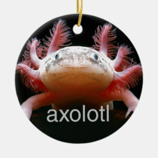AxolotlAxolotlAxolotlAxolotl Keramik Ornament