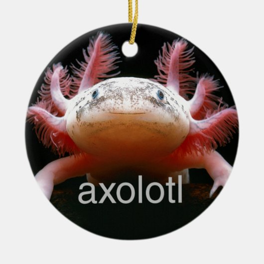 AxolotlAxolotlAxolotlAxolotl Keramik Ornament (Vorne)
