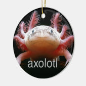 AxolotlAxolotlAxolotlAxolotl Keramik Ornament (Links)