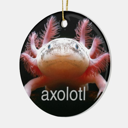 AxolotlAxolotlAxolotlAxolotl Keramik Ornament (Links)