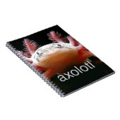 AxolotlAxolotlAxolotlAxolotl Notizblock (Rechte Seite)