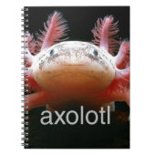 AxolotlAxolotlAxolotlAxolotl Notizblock (Vorderseite)