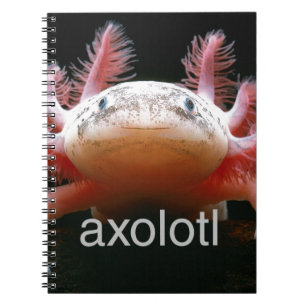 AxolotlAxolotlAxolotlAxolotl Notizblock
