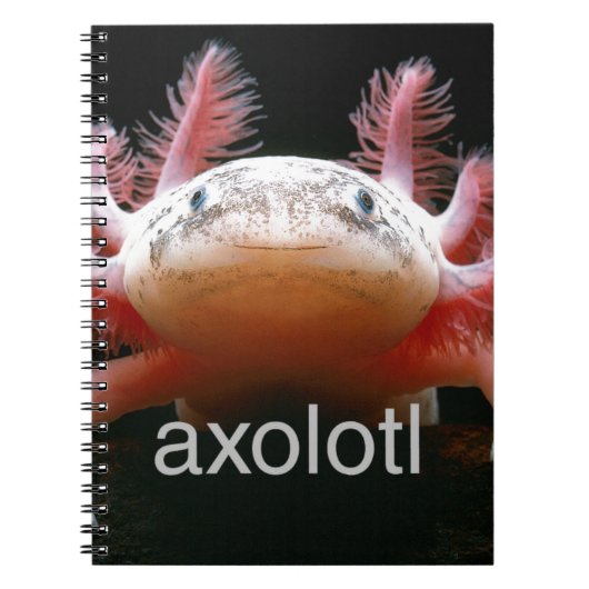 AxolotlAxolotlAxolotlAxolotl Notizblock (Vorderseite)