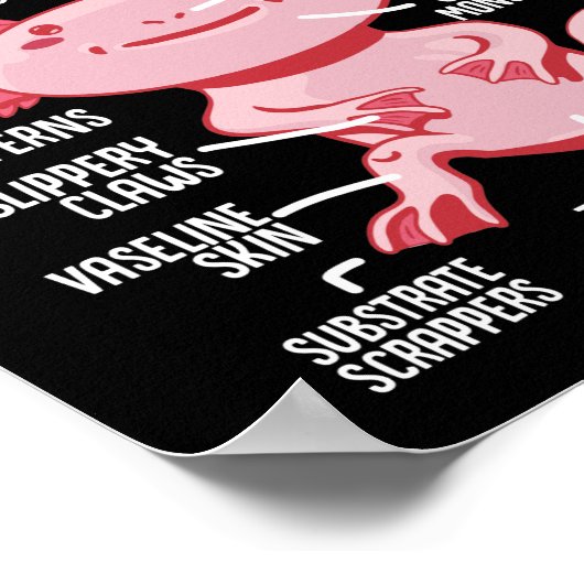Axolotls Anatomie eines Axolotl Kawaii Poster (Ecke)