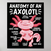 Axolotls Anatomie eines Axolotl Kawaii Poster (Vorne)