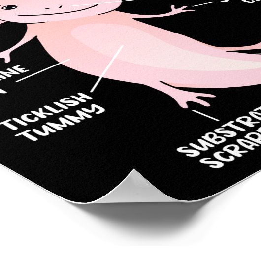 Axolotls Anatomie eines Axolotl Kawaii Poster (Ecke)