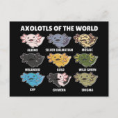 Axolotls aus der Welt Süßvieh Axolotl Post Postkarte (Vorderseite)