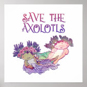 Axolotls, Axolotl, Salamander Poster gerettet (Vorne)