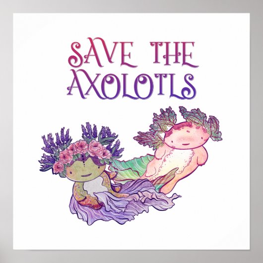 Axolotls, Axolotl, Salamander Poster gerettet (Vorne)