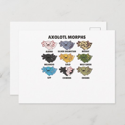 Axolotls von den süßen Tieren der Welt Axolotl Postkarte (Vorne/Hinten)