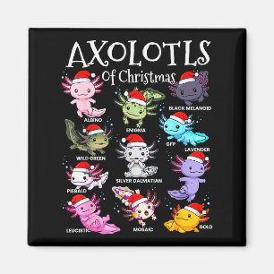 Axolotls Weihnachtsmannmütze Weihnachten Pyjama Sü Magnet