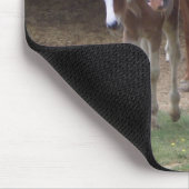 AXT Pferdeliebhaber-Entwurf Mousepad (Ecke)