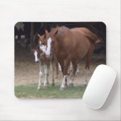 AXT Pferdeliebhaber-Entwurf Mousepad (Mit Mouse)