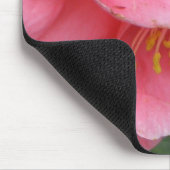 AXT rosa Camelia Blume mousepad (Ecke)