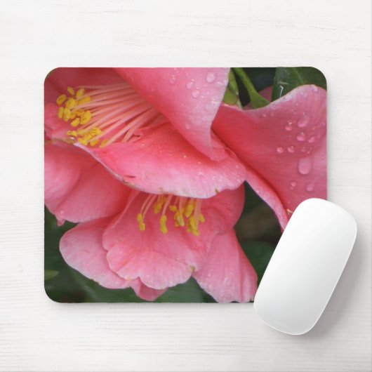 AXT rosa Camelia Blume mousepad (Mit Mouse)