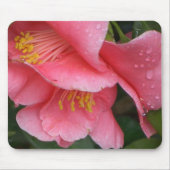 AXT rosa Camelia Blume mousepad (Vorne)