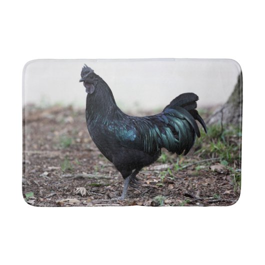 Ayam Cemani Hahn-Schwarz-Huhn-Hahn Badematte (Vorderseite)