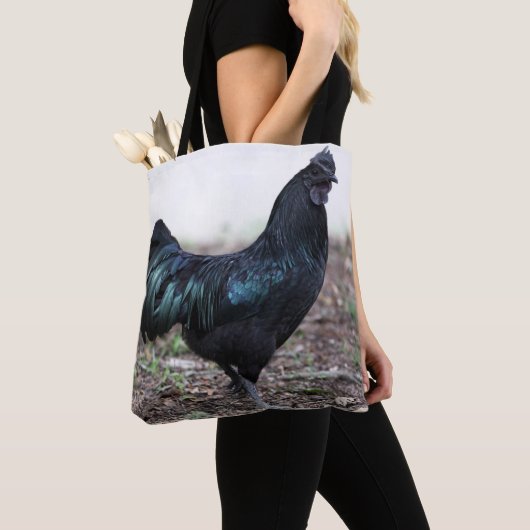 Ayam Cemani Hahn-Schwarz-Huhn-Hahn Tasche (Von Nahem)