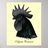 Ayam Cemani Rooster Head Poster (Vorne)