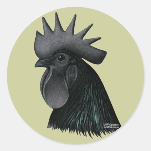 Ayam Cemani Rooster Head Runder Aufkleber (Vorderseite)