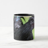 Ayam Cemani schwarzer Hahn Tasse (Zentrum)