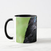 Ayam Cemani schwarzer Hahn Tasse (Links)