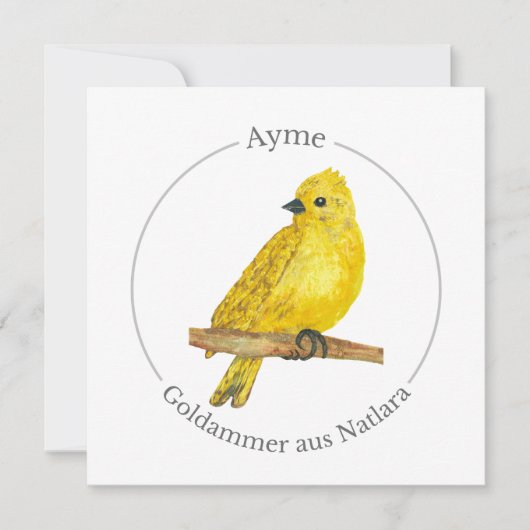 Ayme -  Goldammer aus Natlara (Vorderseite)