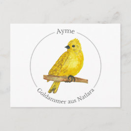 Ayme - Goldammer aus Natlara Postkarte