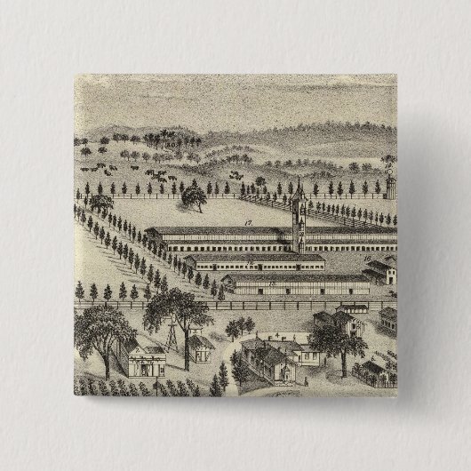 Ayrshire Button (Vorderseite)