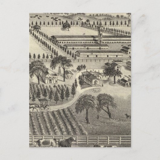 Ayrshire Farm Postkarte (Vorderseite)