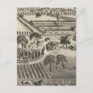 Ayrshire Farm Postkarte