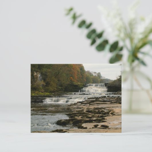 Aysgarth Lower Falls - Yorkshire Dales Wird Postkarte (Stehend Vorderseite)