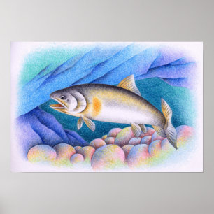 Ayu schwimmt in einem klaren Bach. Poster