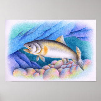 Ayu schwimmt in einem klaren Bach. Poster