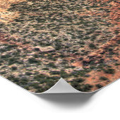 AZ, Arizona, Grand Canyon National Park, South 2 Poster (Ecke)