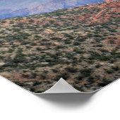 AZ, Arizona, Grand Canyon National Park, South 6 Poster (Ecke)