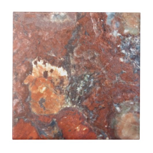 AZ versteinertes Holz Fliese (Vorderseite)