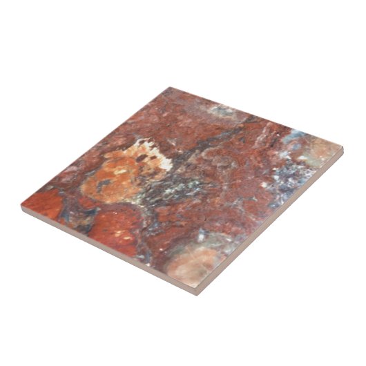 AZ versteinertes Holz Fliese (Seite)