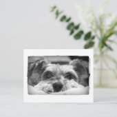 Aza Schwarzweißfotografie Postkarte (Stehend Vorderseite)