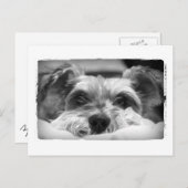 Aza Schwarzweißfotografie Postkarte (Vorne/Hinten)