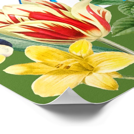 Azadi (Freiheit) Poster (Ecke)