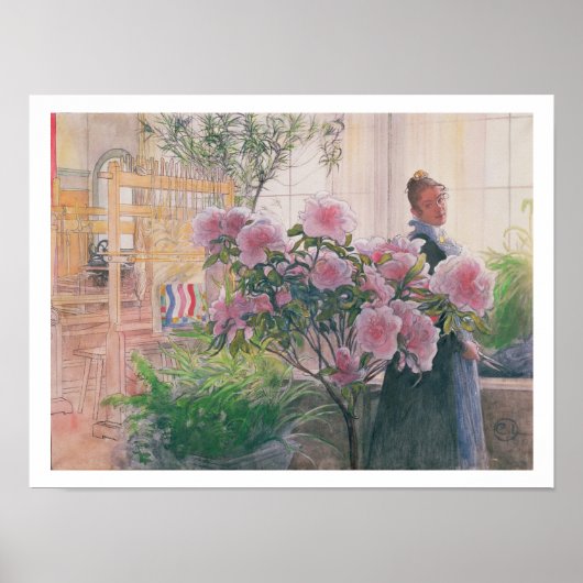 Azalea, 1906 (w/c auf Papier) Poster (Vorne)